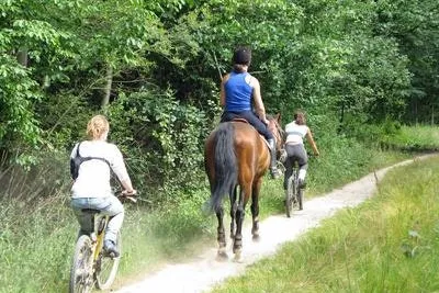 Camping Le Mouretou - Bild 5