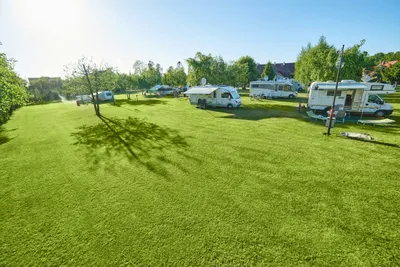 Camping Leśny (Nr. 51) - Stellplatzwiese mit geparkten Wohnmobilen