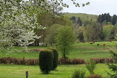 Camping Le Soustran - Bild 4