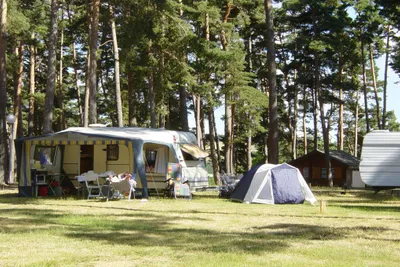 Camping Le Petit Bois