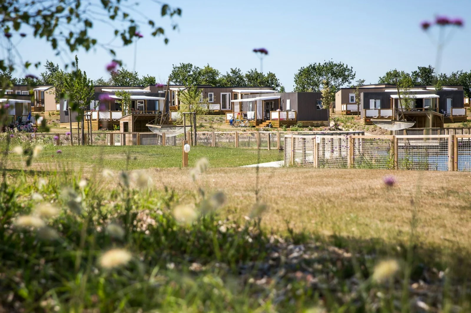 Camping Le Pin Parasol