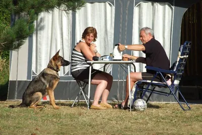 Camping Le Roc Qui Parle - Bild 2