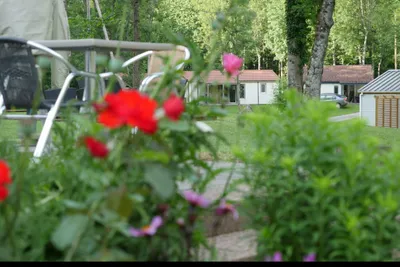 Camping Le Schlossberg - Bild 2