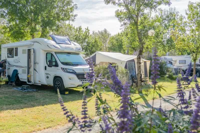Camping Le Soleil Levant-Ribes - Standplätze auf dem Campingplatz