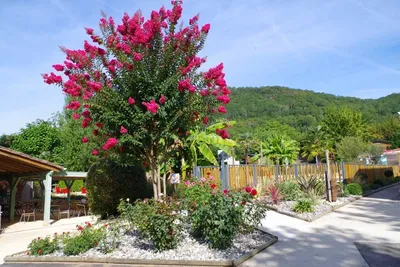 Flower Camping Le Tiradou - Bild 4