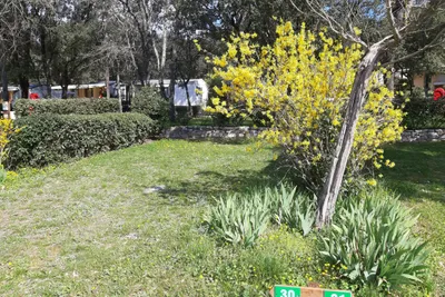 Camping Le Val D'hérault - Bild 3