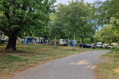 Camping Les Chataigniers - Standplätze zwischen den Bäumen auf dem Campingplatz