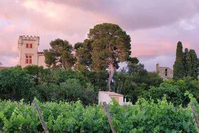 Camping Les Cigales - Bild 2