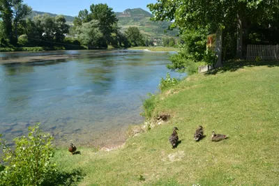 Camping Les Erables - Bild 2