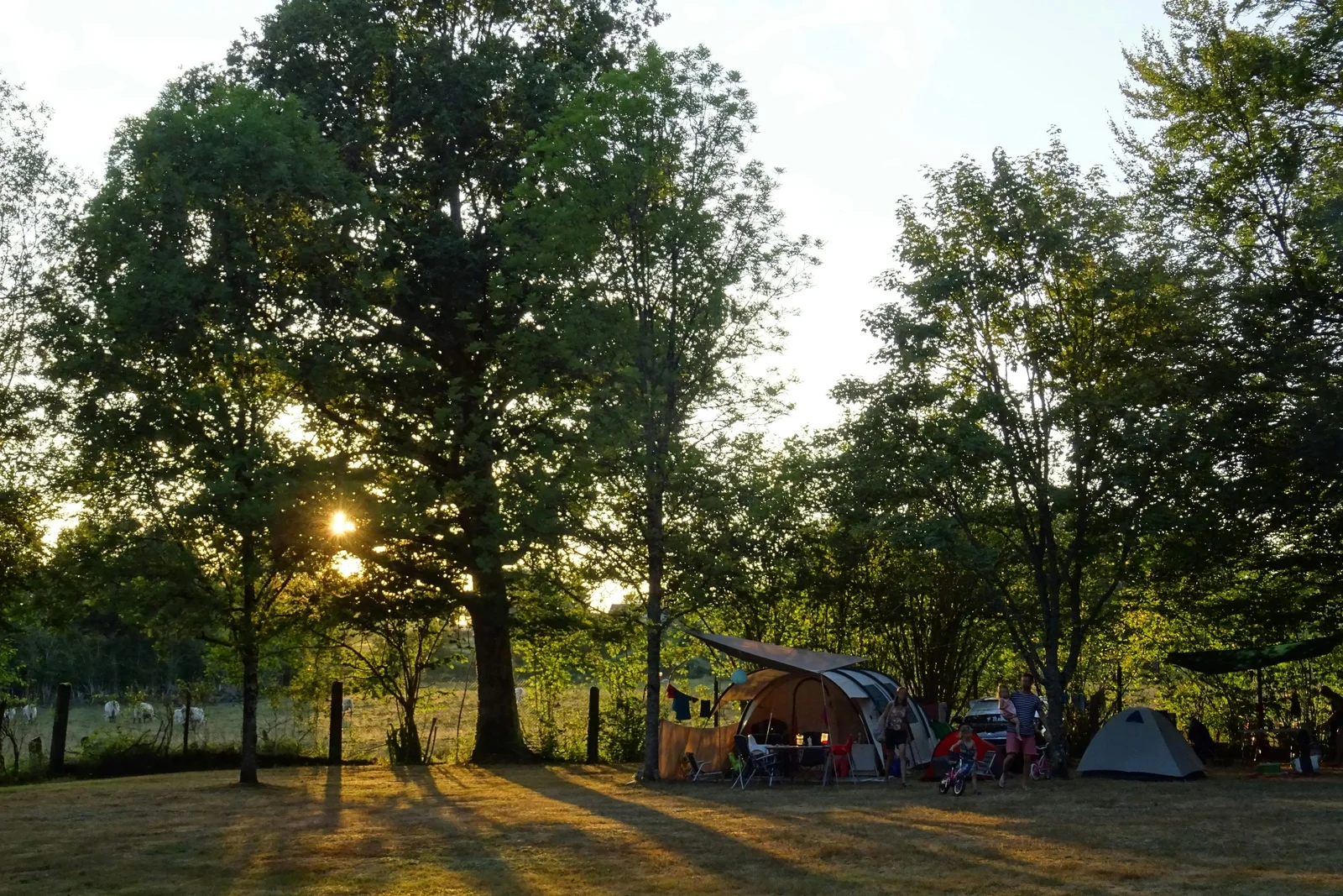 Camping Les Mésanges
