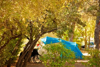 Camping l’Olivier