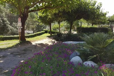 Camping Les Pins D'ucel - Bild 2