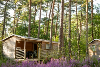 Onlycamp Camping Les Pins  - Mobilheime zwischen den Bäumen auf dem Campingplatz