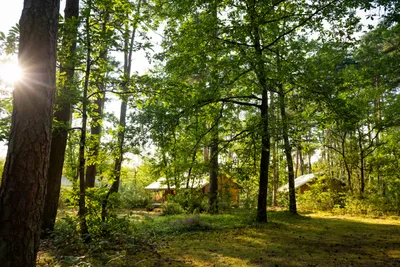 Onlycamp Camping Les Pins - Glamping-Zelte im Grünen