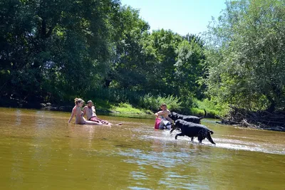 Camping Seasonova Les Plages De Loire - Bild 3