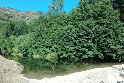 Camping Les Rives De L'ardèche