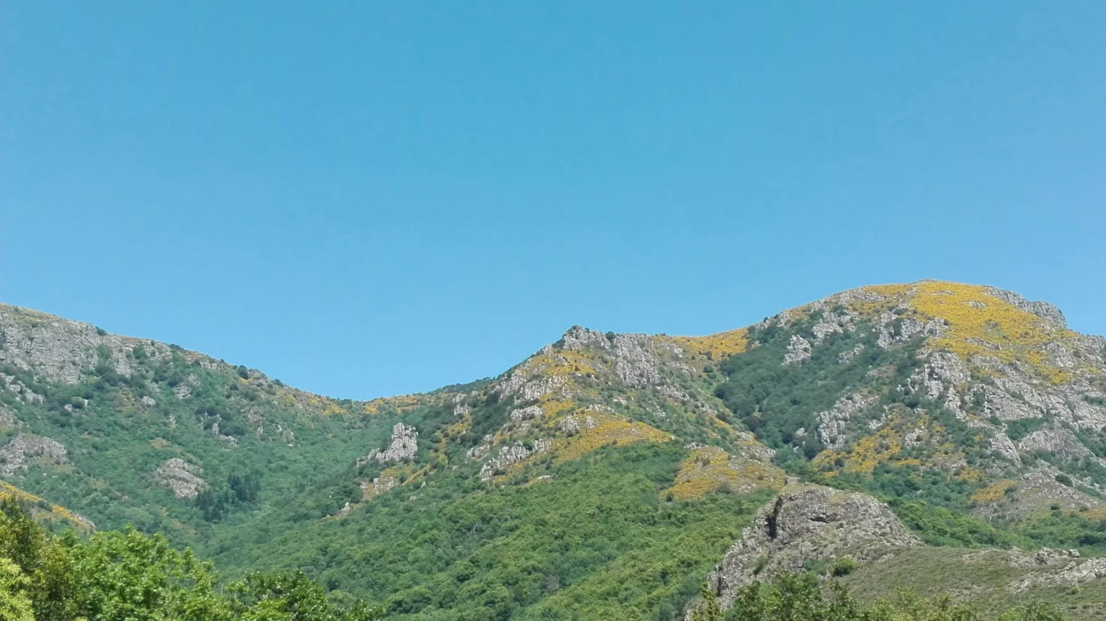 Camping Les Rives De L'ardèche