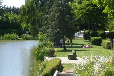 Camping L' Étang des Haizes - sich am Rand des Teiches entspannen