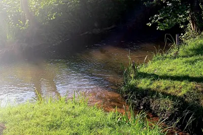 Camping Leukbachtal - Blick auf den Bach am Campingplatz
