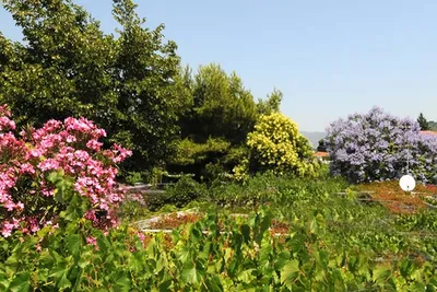 Camping Lino - Gartenanlage auf dem Campingplatz 