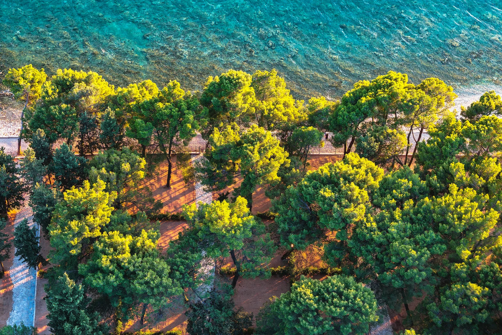 Camping Ljutić