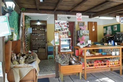 Camping Lo Schioppo - Bar mit typischen lokalen Produkten