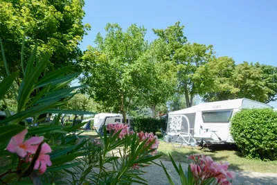 Camping L' Oasis du Verdon  -  Wohnwagen- und Zeltstellplatz im Grünen auf dem Campingplatz