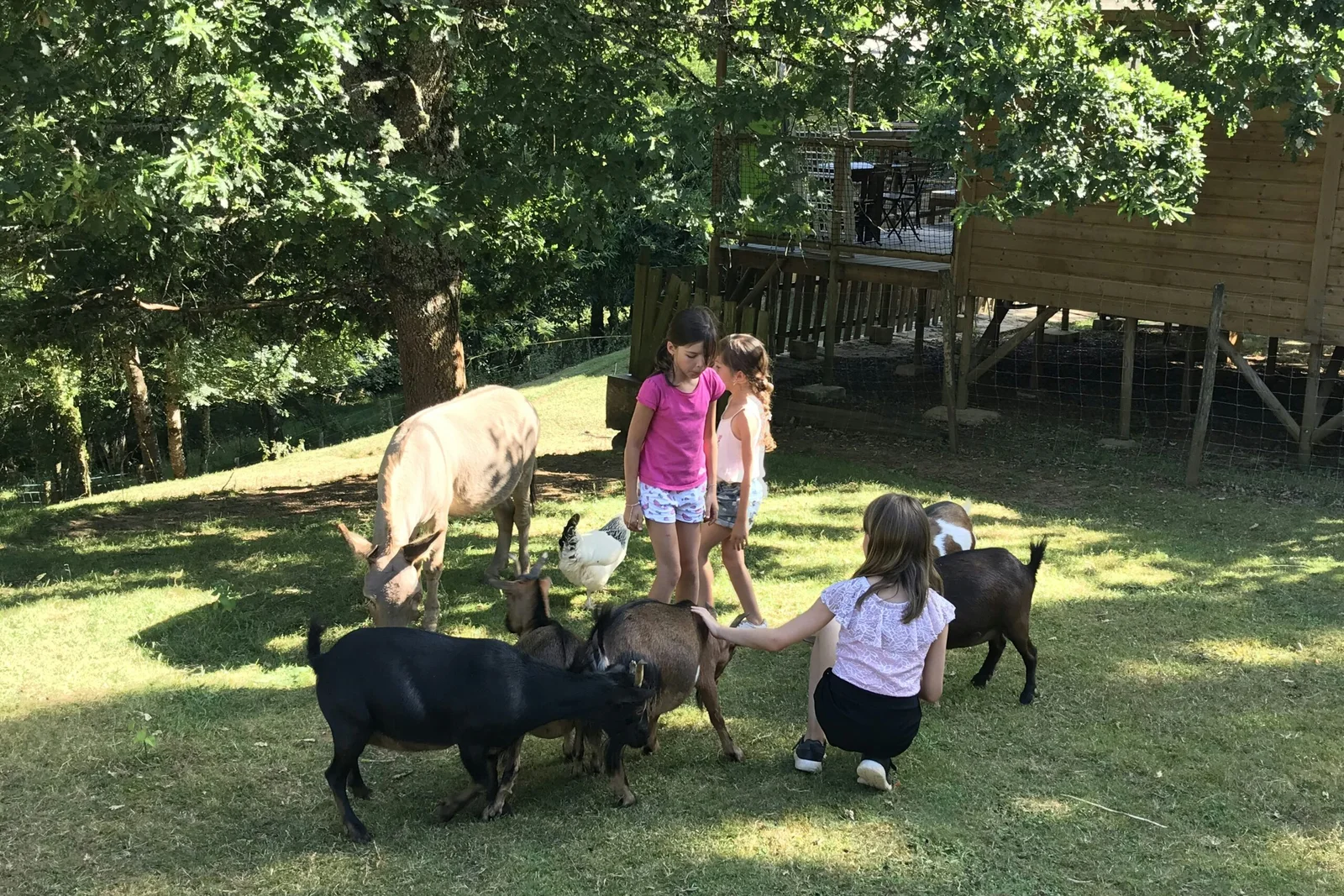 Camping L'offrerie