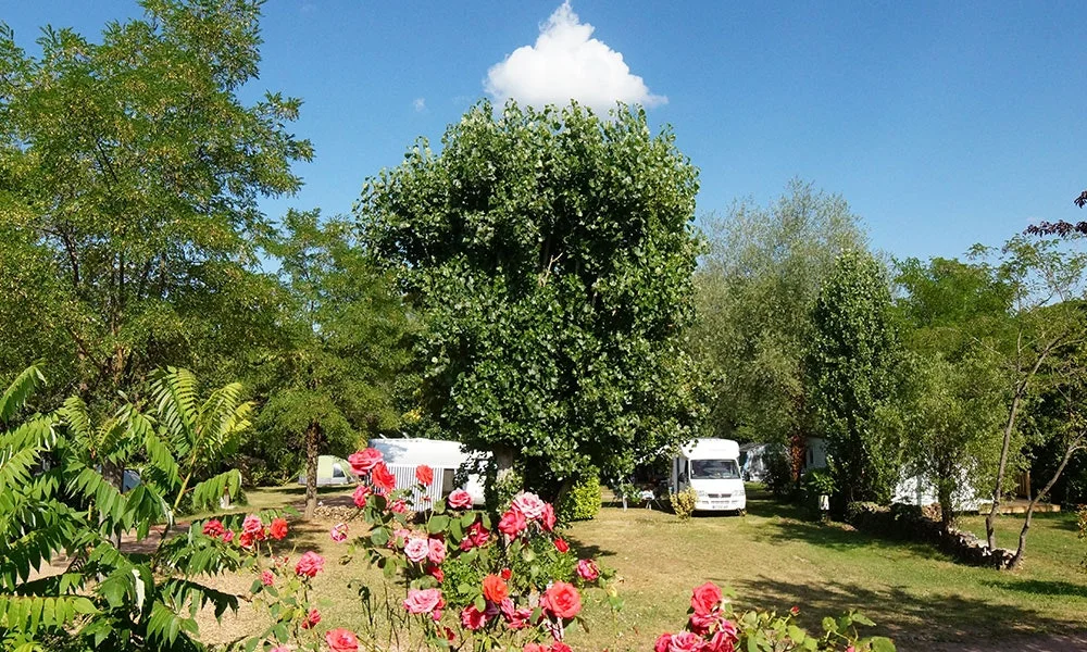 Camping L'orée Du Lac