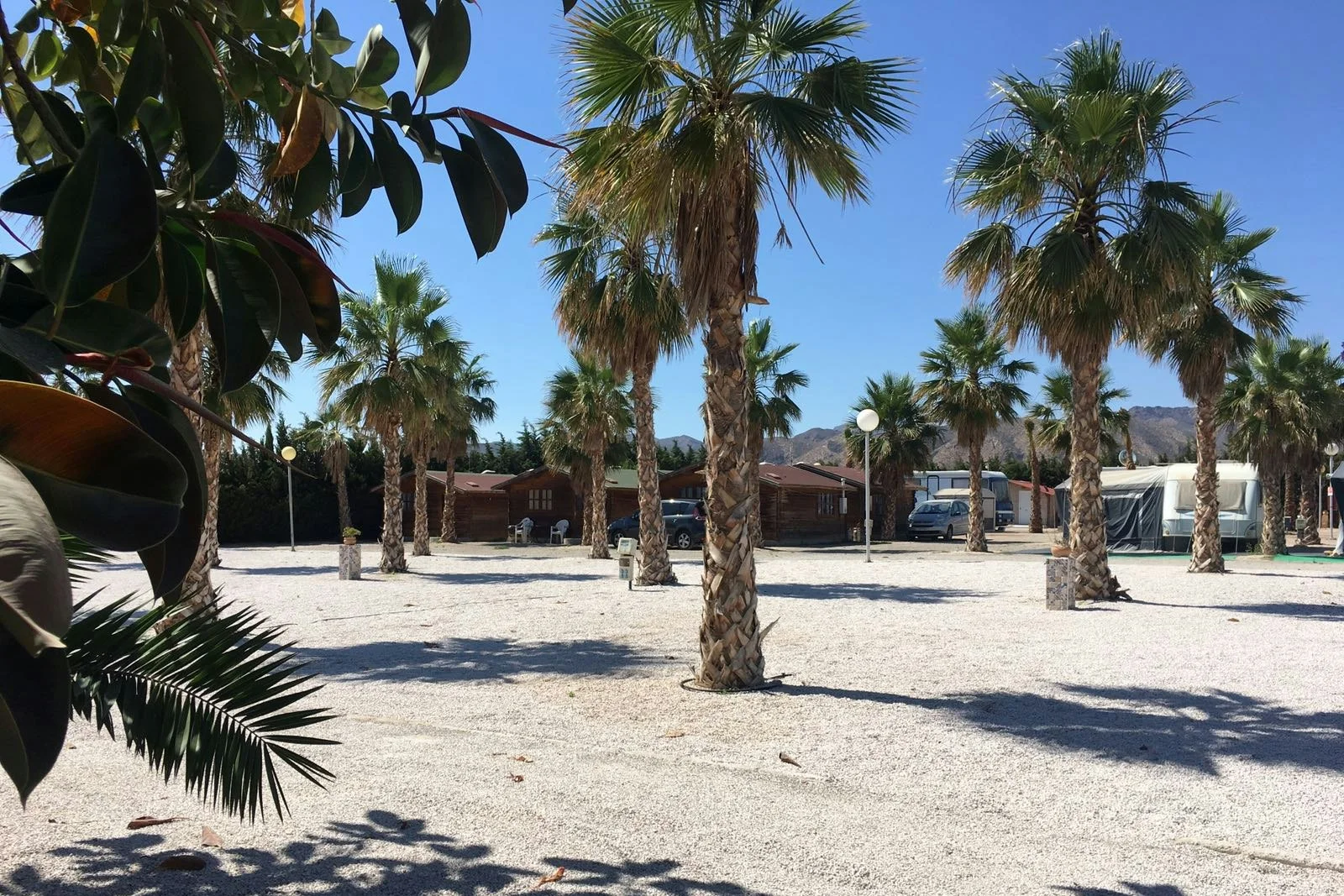 Camping Los Delfines