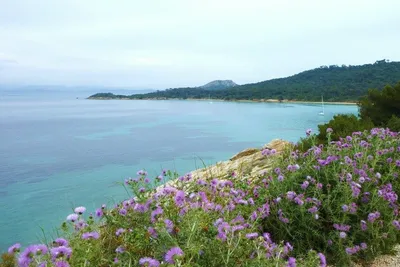 Camping Lou Pantai - Bild 3