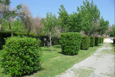 Camping Mare e Sole - Stellplätze im Grünen