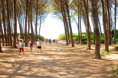 Mareblu Camping Village - Bild 4