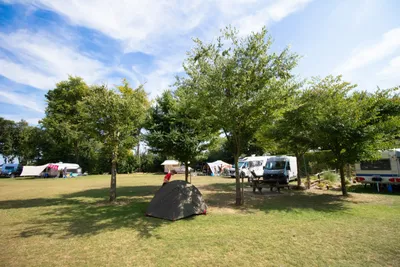 Camping Mareveld - Bild 4