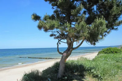 Camping Meridian - Strand an der Adria in der Nähe vom Campingplatz