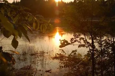 Camping Midden Drenthe