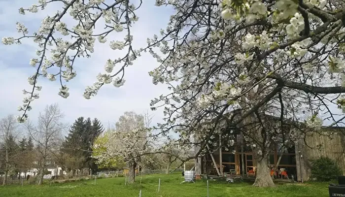 Camping Mio Made In Ottendorf