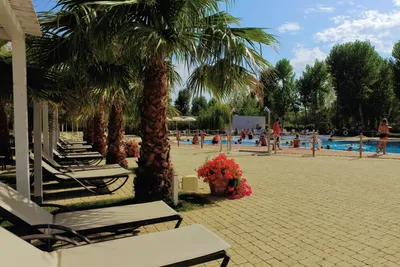 Camping Molino a Fuoco - Der Poolbereich des Campingplatzes mit Sonnenliegen unter Palmen am Rand