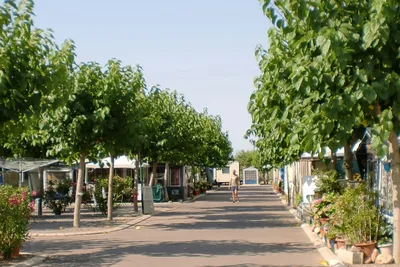 Camping Monmar - Mobilheim auf dem Campingplatz
