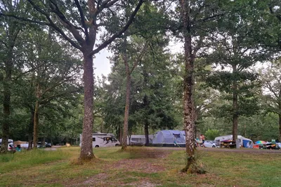 Camping Domaine de Forges - Standplätze zwischen den Bäumen auf dem Campingplatz
