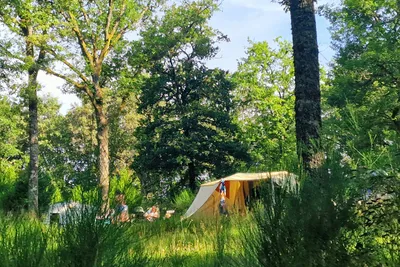 Camping Domaine de Forges - Standplätze im Grünen auf dem Campingplatz