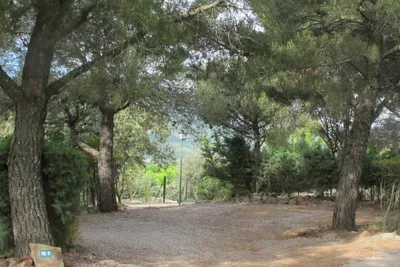 Camping Monte Holiday - Standplätze auf dem Campingplatz