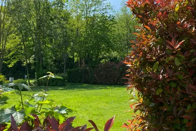 Camping Montorfano - Standplätze im Grünen auf dem Campingplatz