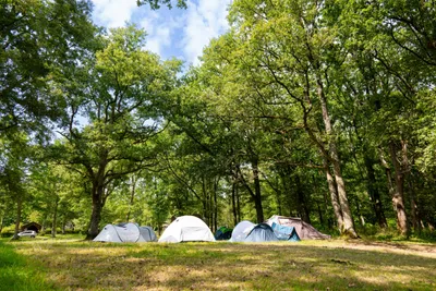 Onlycamp La Varenne - Bild 4