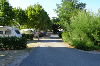 Camping Municipal Les Iles-de-Silon  -  Stellplatz vom Campingplatz im Grünen