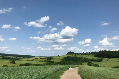 Camping Neumuhle - Fussgängerweg im Grünen auf dem Campingplatz