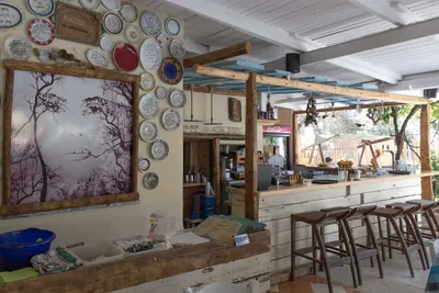 Camping No Problem - Bar auf den Campingplatz