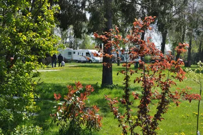 Camping Nr. 61 - Wohnwagen- und Zeltstellplatz im Grünen
