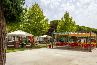 Camping Orbitur Costa De Caparica - Bild 2