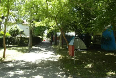 Camping Orpheus -  Zeltstellplätze im Grünen auf dem Campingplatz